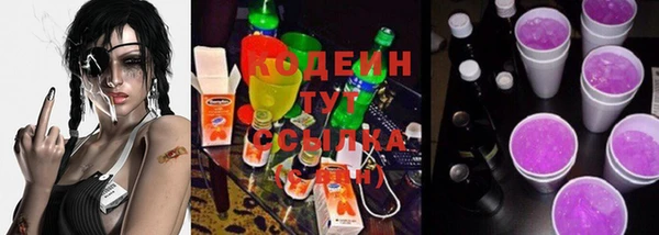 гашик Верея