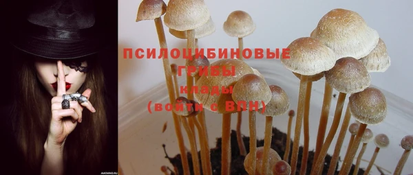 хмурый Верхний Тагил