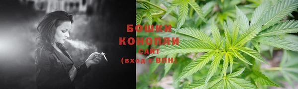 гашик Верея