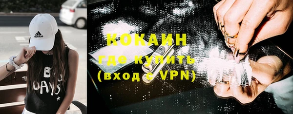 гашик Верея