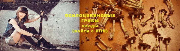 гашик Верея