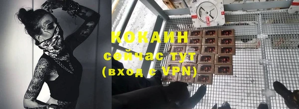 гашик Верея