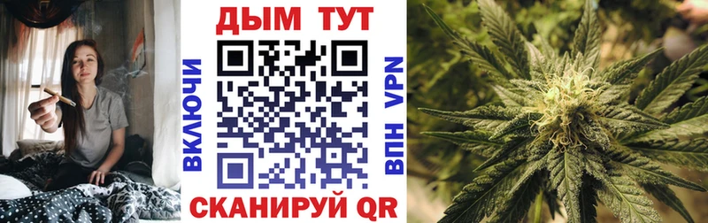 Бошки марихуана план  наркотики  Игра 